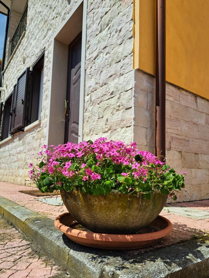 La Casa Di Mezzo-Affitti Brevi-Zona Ospedali Villa Busso Dış mekan fotoğraf